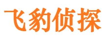 崇阳寻人公司